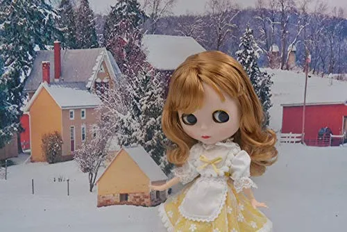 1/6 BJD Doll is Similar to Neo Blythe, 4-Color Changing Eyes Matte Face and Ball Jointed Body, 12 Inch Customized Dolls Can Changed Makeup and Dress DIY, Nude Doll Sold Exclude Clothes (SNO.9)