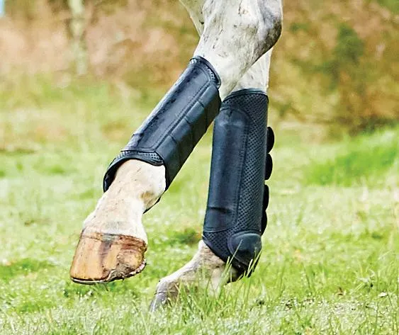 Weatherbeeta Cross Country Boots Hind