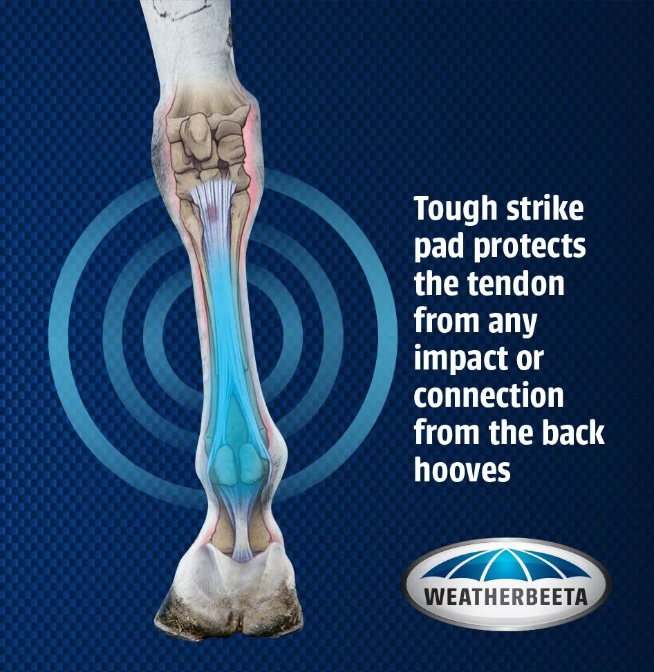 Weatherbeeta Cross Country Boots Hind